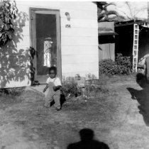 Larry Spicer on Maple